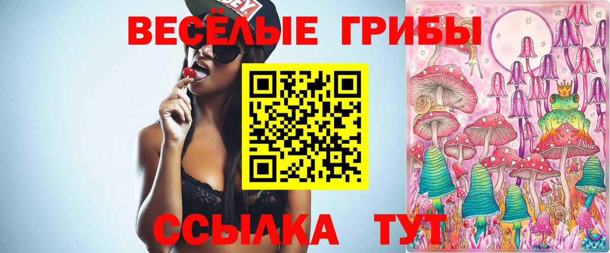 Псилоцибиновые грибы мицелий Севастополь