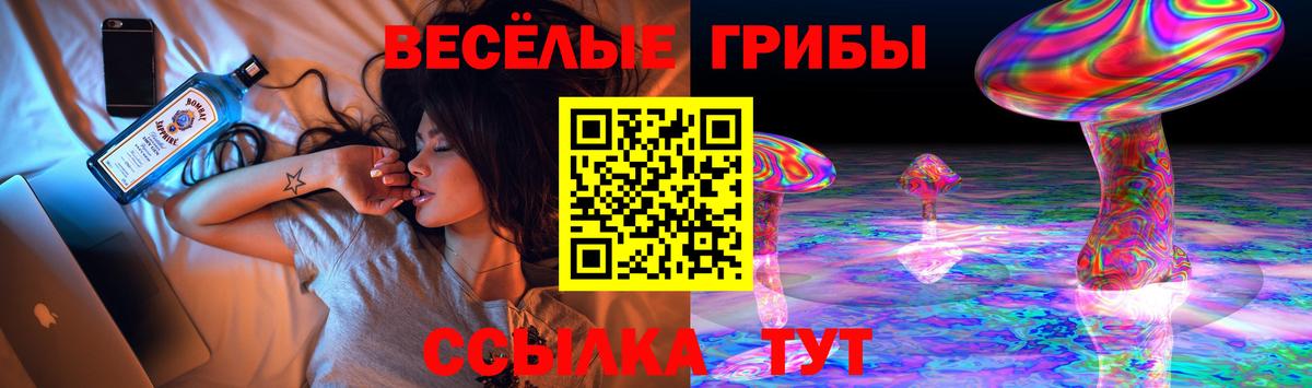 Псилоцибиновые грибы Cubensis  Псилоцибиновые грибы Cubensis  Севастополь  Вход с VPN 